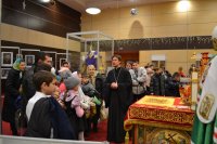 17 января 2016 года воспитанники Воскресных школ Центрального благочиния выставку "Дон Православный"